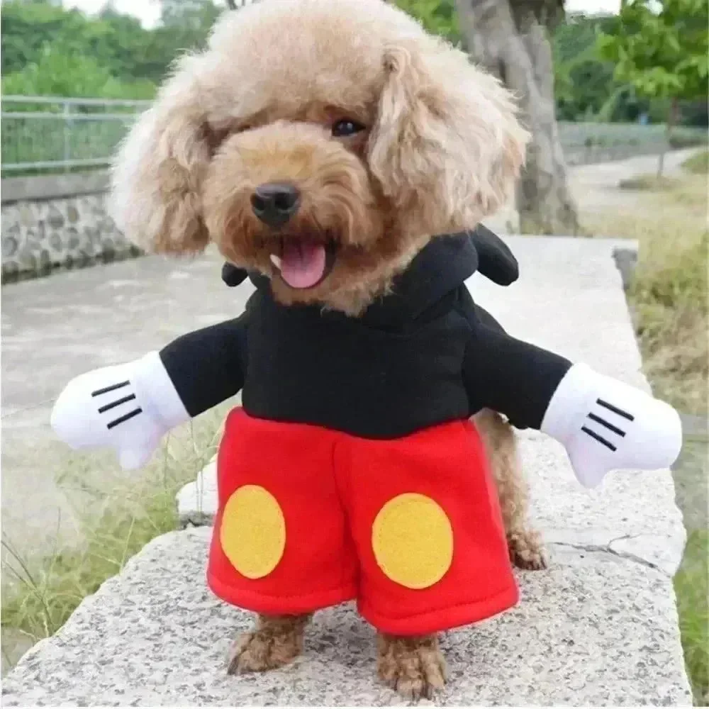 Disney Minnie and Mickey Dog Costume Size Small NWOT